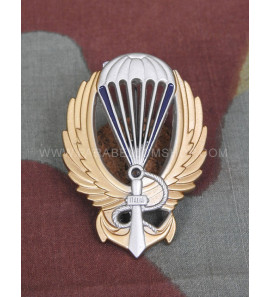 Italian WW2 special force Swimmers of the NP Paratroopers Republican National Navy - RSI