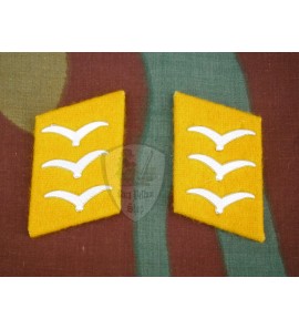 Mostrina Luftwaffe graduati di truppa